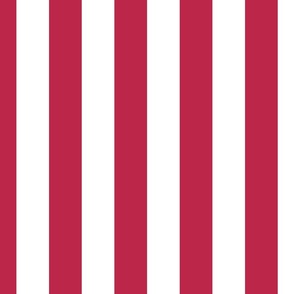 Color of the Year Viva Magenta with White Vertical 2 inch Cabana Stripes