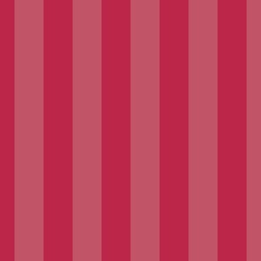 Two-Tone Color of the Year Viva Magenta with Tonal Vertical 2 inch Cabana Stripes