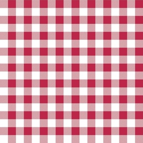 White  and Viva Magenta Gingham Check 