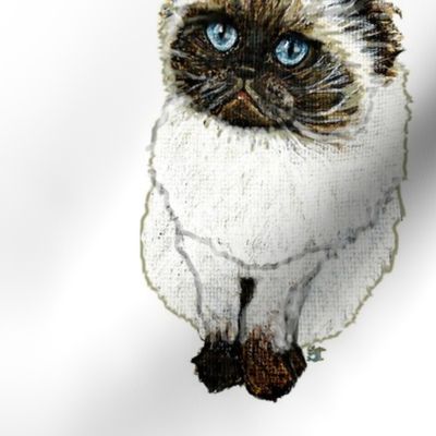 Persian Cat Pattern, Himalayan by Stacy Todd