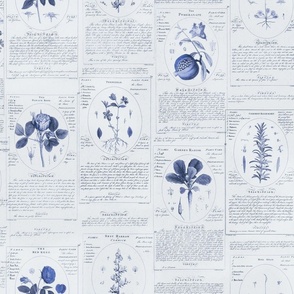 Vintage Flower Book Pattern Blue