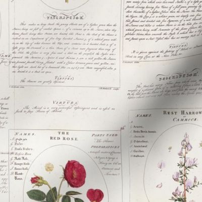 Vintage Flower Book Pattern