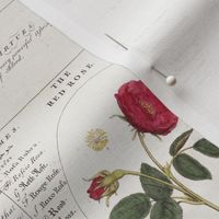 Vintage Flower Book Pattern