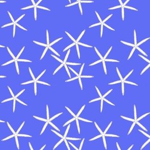 Small periwinkle and white starfish