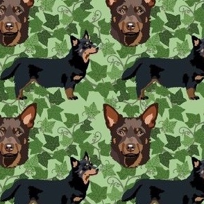 Lancashire Heeler Dog green ivy cute puppy - dog fabric