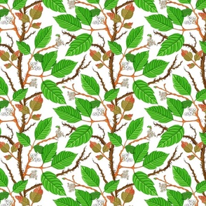 Poison Ivy green on white 8x8