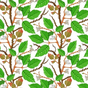 Poison Ivy green on white 10x10