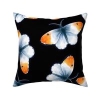 Orange Tip Butterflies, Black