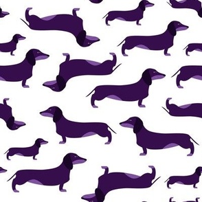 Dachshunds_purple violet