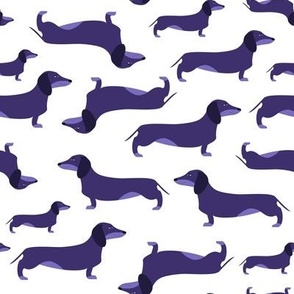 Dachshunds_ dark violet