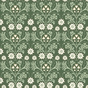 Mini Arts and Crafts Australian Native Flannel Flowers with Cactus Green Background