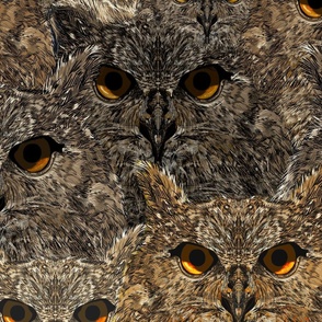 Owl Stock large 