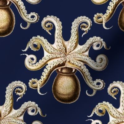 Ernst Haeckel - Artistic antiqued and reconstructed vintage animals and creatures of the ocean - octopus blue