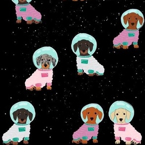 Dachshund Astronaut in star sky