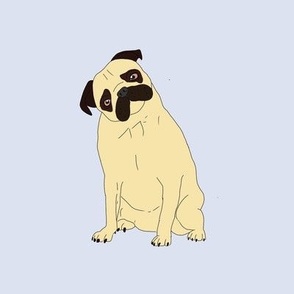 Pug in grey background