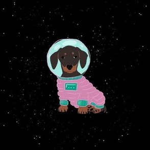 Dachshund astronaut big