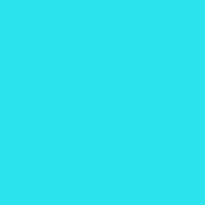 Solid Light Teal Bright