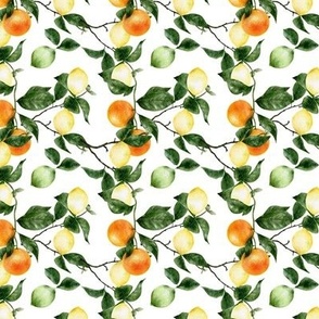 Oranges and Lemons