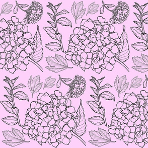 Pale Pink Floral Hydrangea