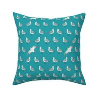 Seagulls on teal