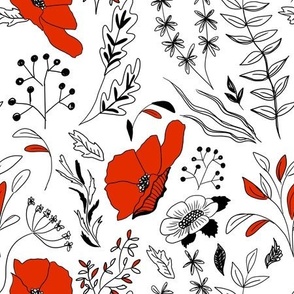 Red poppy poppies on a transparent background