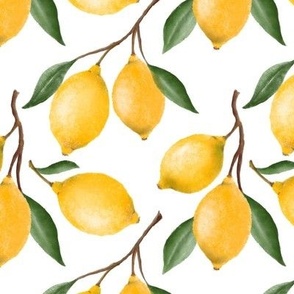 Lemon Squeezy ©Julee Wood