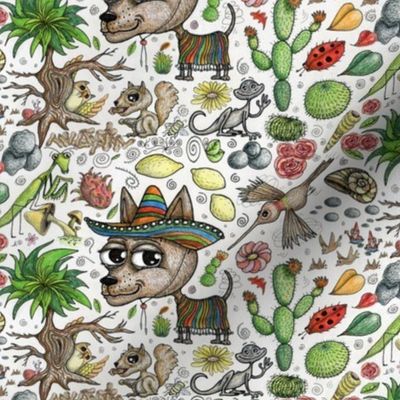 favorite things...chihuahuas!  small scale, black white red orange yellow green blue gray brown pink novelty gender neutral hummingbird whimsical