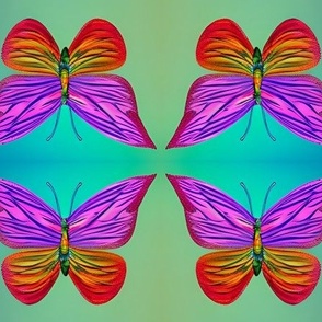 Beautiful Butterflies on Gradient