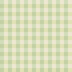 Gingham (Sage/Lime)