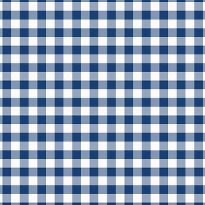 1/4 Inch Blue Buffalo Check | Quarter Inch Checkered Blue and White