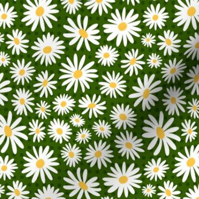 Marguerite