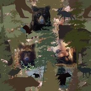 Bears in the Woods with Elk and Moose
