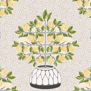 Lemon Tree Orchard on Pebble Background