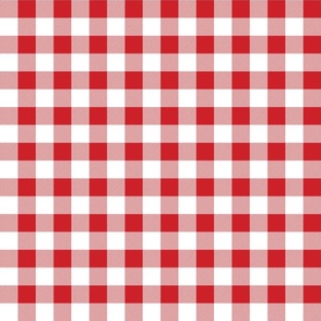 Poppy Red  and White Gingham Check