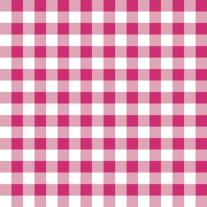 Bubble Gum and White Gingham Check
