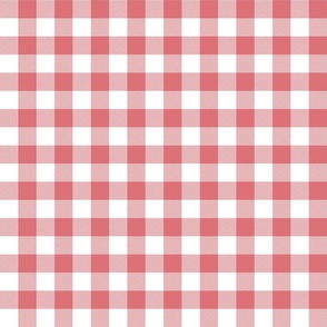 Watermelon and White Gingham Check