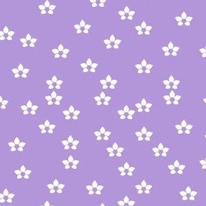 Lilac bidri