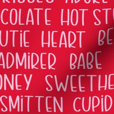Valentine Typography Words Pink on Red - Large Scale