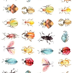 Bugs / Insects / White Rotated