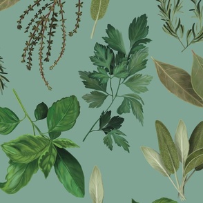 Kitchen Herbs on Green
