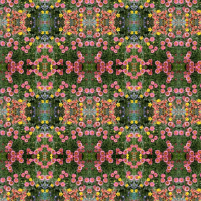 Multicolored Pink Floral_8785