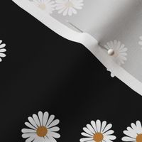 Pairs of daisies - summer blossom minimalist daisy garden japandi trend white on black night 