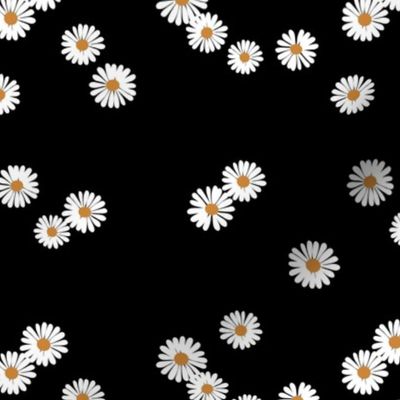 Pairs of daisies - summer blossom minimalist daisy garden japandi trend white on black night 