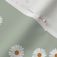 Pairs of daisies - summer blossom minimalist daisy garden japandi trend white on sage green 