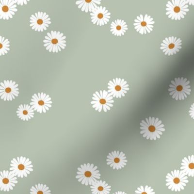 Pairs of daisies - summer blossom minimalist daisy garden japandi trend white on sage green 