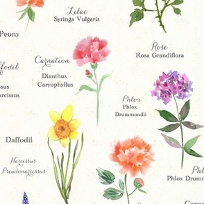 Fragrant Flowers Fabric Wallpaper And