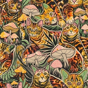 Cats and Mushrooms 