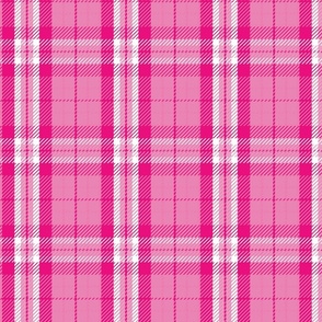 Preppy pink plaid small scale