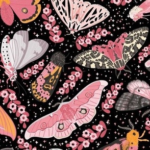 Pink Moths - Black Large