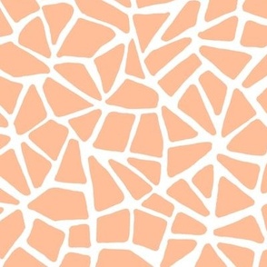 Hand Drawn Cracked Kintsugi Mosaic, White on Peach Fuzz (Medium Scale)